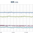 （やかん作業りす３匹目）