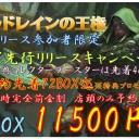 9/27・28・29　【シールド戦】エルドレインの王権 プレリリース