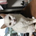 すごく久しぶりに街へ出かけました。
