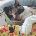 うひゃっ(≧∀≦)