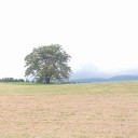 岩手県の旅・・・最終日