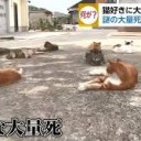むかしは・・・