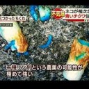 むかしは・・・