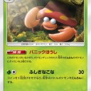 パラセクト