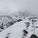 雪景色