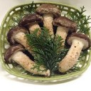 松茸品質改良！最新情報・・・