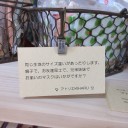 納品！