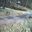 鹿トークンの素材撮って来た。あと、久々のM;tGが楽しいわけ。