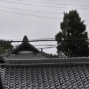 嘗てない最大級の台風１９号