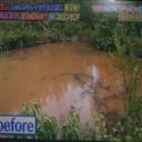コロンビアの泥水池が透明池に大変身！