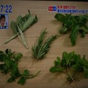 糖化リスクを減らすには・・・