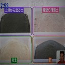 工場内の廃棄物が自然緑化へ変貌！