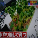 工場内の廃棄物が自然緑化へ変貌！