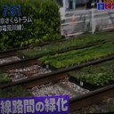 工場内の廃棄物が自然緑化へ変貌！