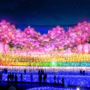 なばなの里イルミネーション