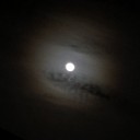 2019/11/13