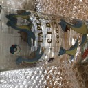 横になったラプラス