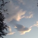 冬の空になっていた