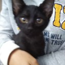子猫に会いに・・・