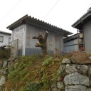 柿の木切る。
