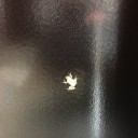 カエルの恩返し