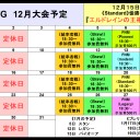 MTG《大会結果》１１/２４『パイオニア/Pioneer』