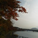 瀬田川の紅葉