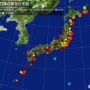 【数量 ５０％強】、金額ベースで１８％を占めていた部分が失われつつある。