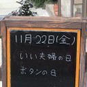 抜歯