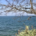 １２月の海