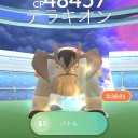 12月　ひきこもってポケモンシーズン