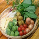 ミニ野菜！