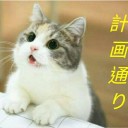 WEB投稿が完了しました。