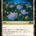 【MTG】12月17日(火)火曜パイオニア【大会結果】