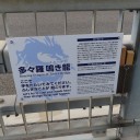 瀬戸内の旅・・・１日目（広島～愛媛）
