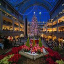 メリークリスマス！