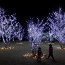 年末の慌ただしさ