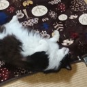 癒し