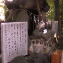 金メダルように輝く初日の出！