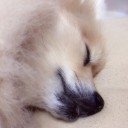 犬テロ