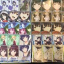 ヴァイスシュヴァルツ　冴えカノ