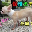 かわいい・・・
