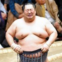 徳勝龍！幕尻優勝20年ぶり貴闘力以来～！！！