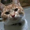 とうとう・・・