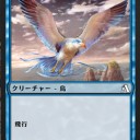 白青トリ（アリーナスタンダード）