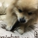 恵方巻きとか「キャッツ字幕版」とか