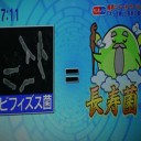 腸内環境を改善するには善玉菌！