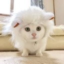 りそうのちちおや・・・・