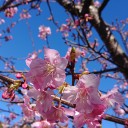 既に1か月