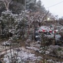 こんな時期に初雪！